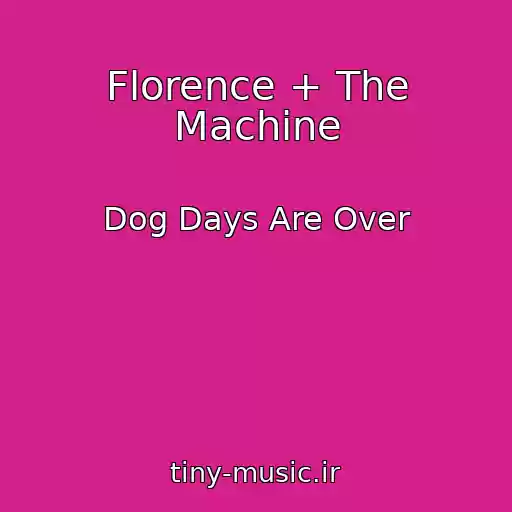 کاور آهنگ Florence + The Machine از Dog Days Are Over