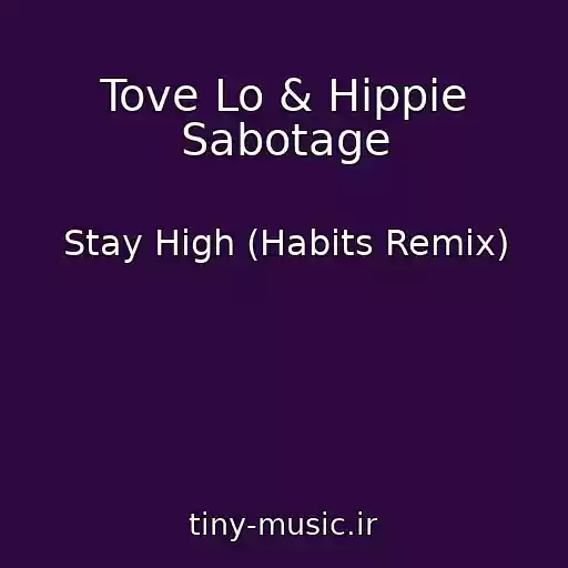 کاور آهنگ Tove Lo & Hippie Sabotage از Stay High (Habits Remix)