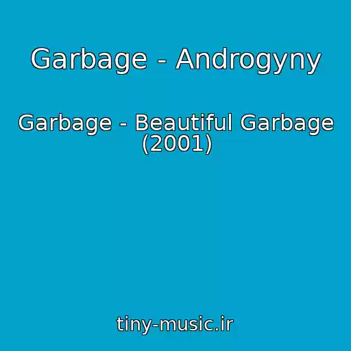 کاور آهنگ Garbage - Androgyny از Garbage - Beautiful Garbage (2001)
