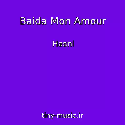 کاور آهنگ Baida Mon Amour از Hasni