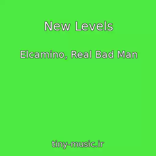 کاور آهنگ New Levels از Elcamino, Real Bad Man