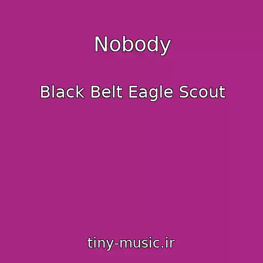 کاور آهنگ Nobody از Black Belt Eagle Scout