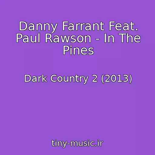 کاور آهنگ Danny Farrant Feat. Paul Rawson - In The Pines از Dark Country 2 (2013)