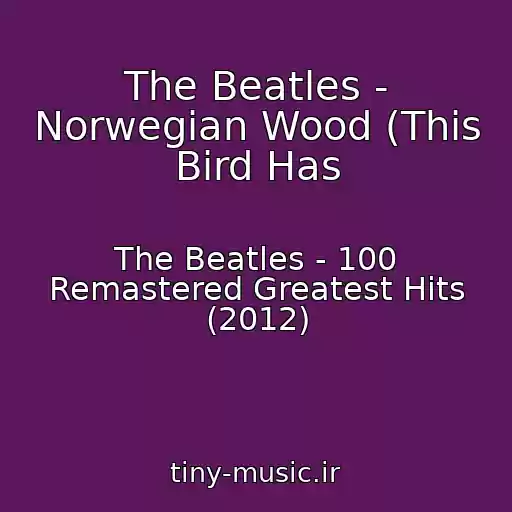 کاور آهنگ The Beatles - Norwegian Wood (This Bird Has از The Beatles - 100 Remastered Greatest Hits (2012)
