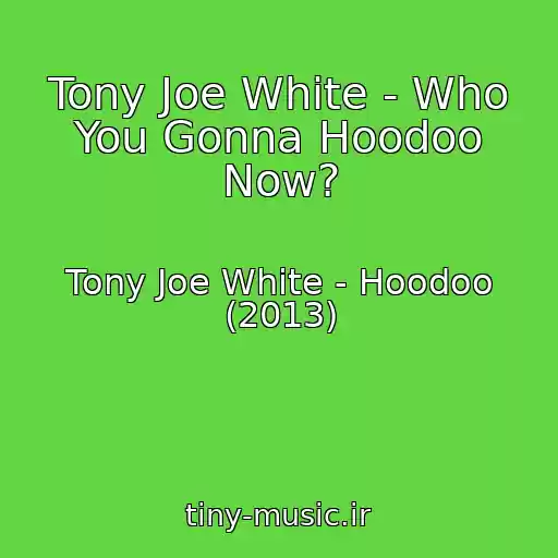 کاور آهنگ Tony Joe White - Who You Gonna Hoodoo Now? از Tony Joe White - Hoodoo (2013)