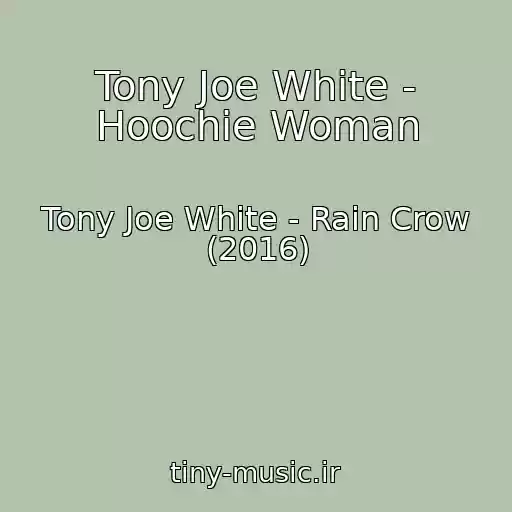 کاور آهنگ Tony Joe White - Hoochie Woman از Tony Joe White - Rain Crow (2016)