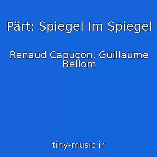 کاور آهنگ Pärt: Spiegel Im Spiegel از Renaud Capuçon, Guillaume Bellom