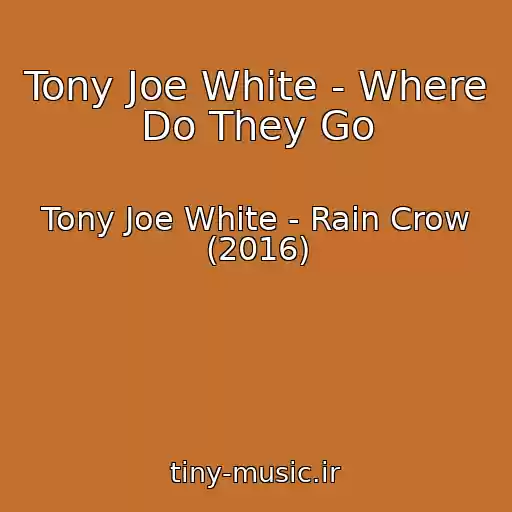 کاور آهنگ Tony Joe White - Where Do They Go از Tony Joe White - Rain Crow (2016)