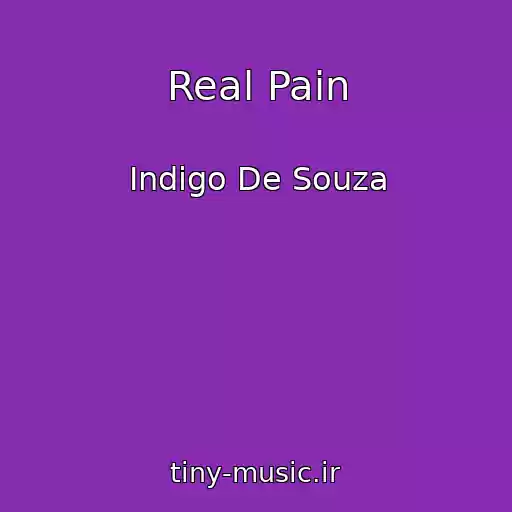 کاور آهنگ Real Pain از Indigo De Souza
