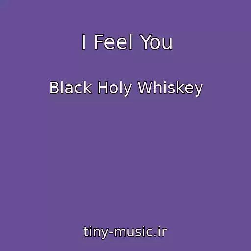 کاور آهنگ I Feel You از Black Holy Whiskey