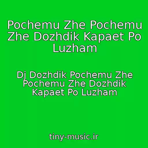 کاور آهنگ Pochemu Zhe Pochemu Zhe Dozhdik Kapaet Po Luzham از Dj Dozhdik Pochemu Zhe Pochemu Zhe Dozhdik Kapaet Po Luzham