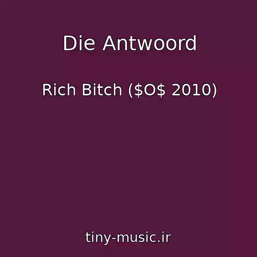 کاور آهنگ Die Antwoord از Rich Bitch ($O$ 2010)