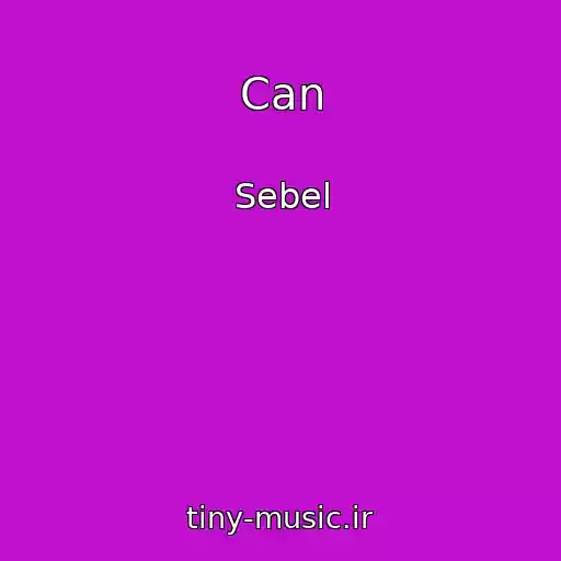 کاور آهنگ Can از Sebel