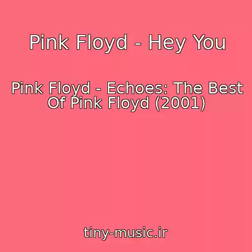 کاور آهنگ Pink Floyd - Hey You از Pink Floyd - Echoes: The Best Of Pink Floyd (2001)
