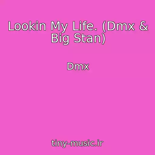 کاور آهنگ Lookin My Life. (Dmx & Big Stan) از Dmx
