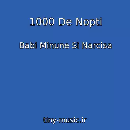کاور آهنگ 1000 De Nopti از Babi Minune Si Narcisa