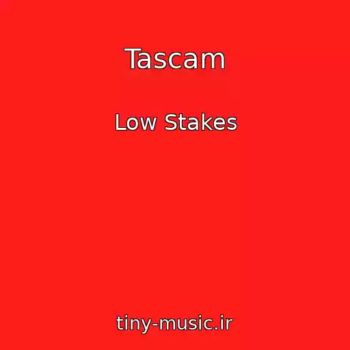 کاور آهنگ Tascam از Low Stakes