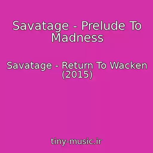 کاور آهنگ Savatage - Prelude To Madness از Savatage - Return To Wacken (2015)