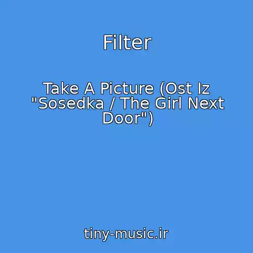 کاور آهنگ Filter از Take A Picture (Ost Iz "Sosedka / The Girl Next Door")