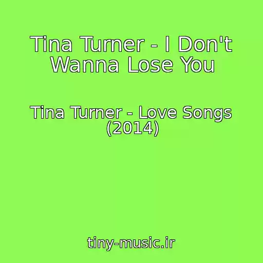 کاور آهنگ Tina Turner - I Don't Wanna Lose You از Tina Turner - Love Songs (2014)
