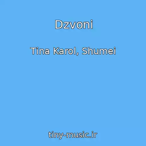 کاور آهنگ Dzvoni از Tіna Karol, Shumei