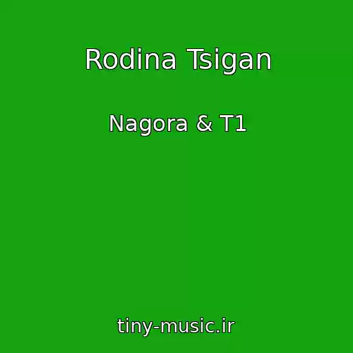 کاور آهنگ Rodina Tsigan از Nagora & T1