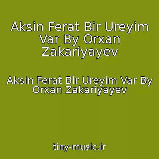 کاور آهنگ Aksin Ferat Bir Ureyim Var By Orxan Zakariyayev از Aksin Ferat Bir Ureyim Var By Orxan Zakariyayev