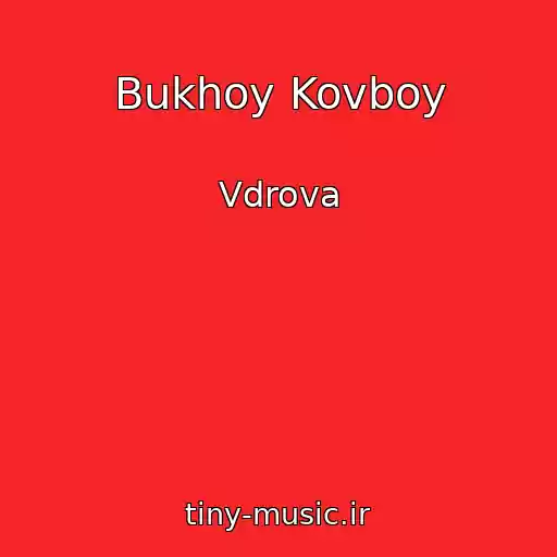 کاور آهنگ Bukhoy Kovboy از Vdrova