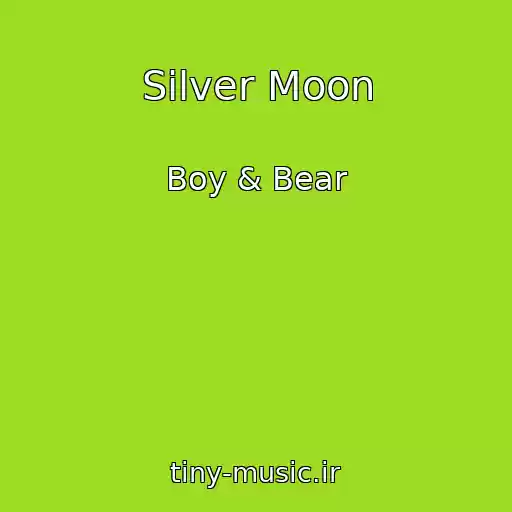 کاور آهنگ Silver Moon از Boy & Bear