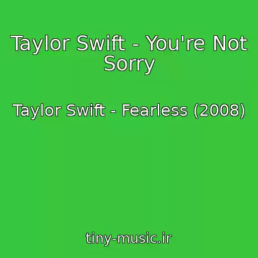 کاور آهنگ Taylor Swift - You're Not Sorry از Taylor Swift - Fearless (2008)