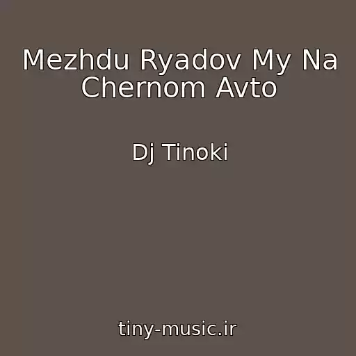 کاور آهنگ Mezhdu Ryadov My Na Chernom Avto از Dj Tinoki
