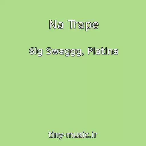 کاور آهنگ Na Trape از 6Ig Swaggg, Platina