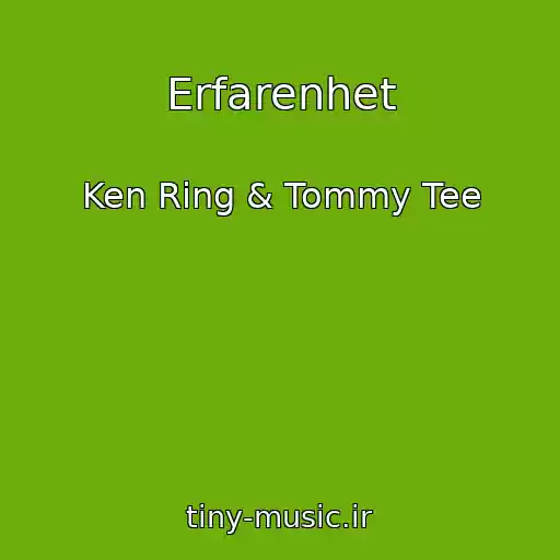کاور آهنگ Erfarenhet از Ken Ring & Tommy Tee