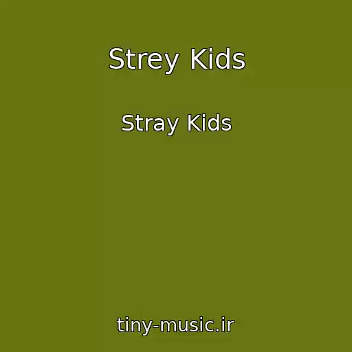 کاور آهنگ Strey Kids از Stray Kids