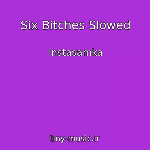 کاور آهنگ Six Bitches Slowed از Instasamka