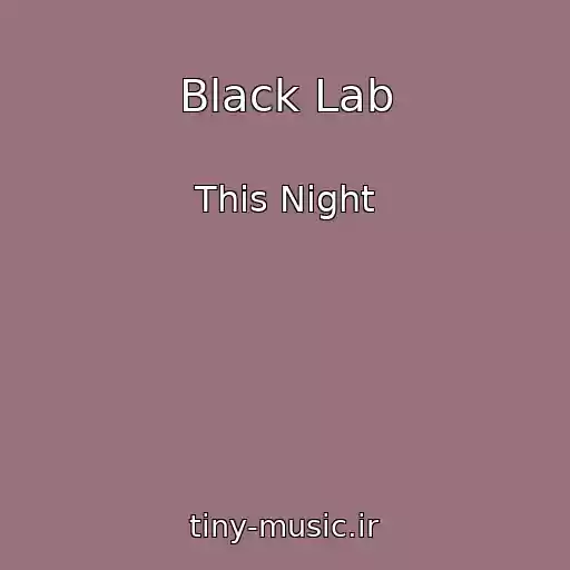 کاور آهنگ Black Lab از This Night