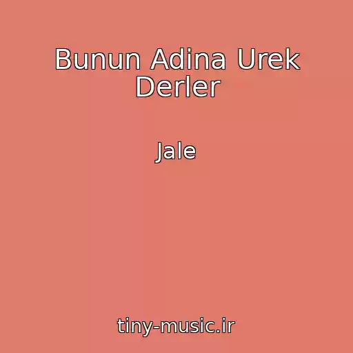 کاور آهنگ Bunun Adina Urek Derler از Jale