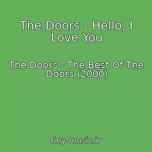 کاور آهنگ The Doors - Hello, I Love You از The Doors - The Best Of The Doors (2000)