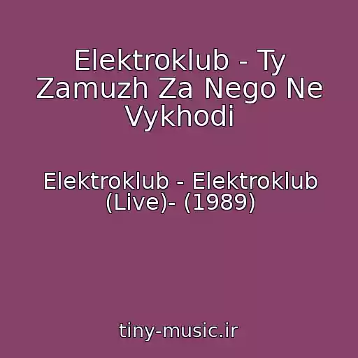 کاور آهنگ Elektroklub - Ty Zamuzh Za Nego Ne Vykhodi از Elektroklub - Elektroklub (Live)- (1989)