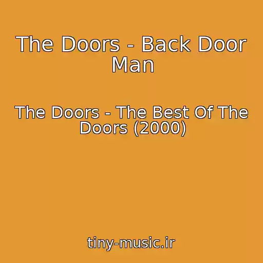 کاور آهنگ The Doors - Back Door Man از The Doors - The Best Of The Doors (2000)