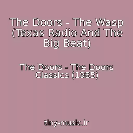 کاور آهنگ The Doors - The Wasp (Texas Radio And The Big Beat) از The Doors - The Doors Classics (1985)