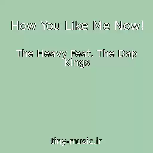 کاور آهنگ How You Like Me Now! از The Heavy Feat. The Dap Kings