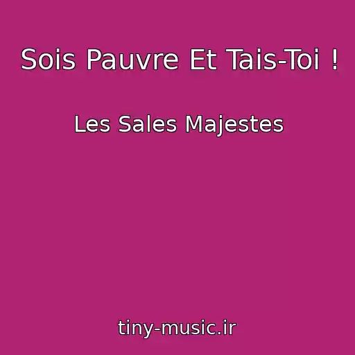 کاور آهنگ Sois Pauvre Et Tais-Toi ! از Les Sales Majestes