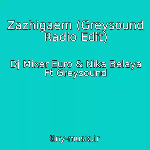 کاور آهنگ Zazhigaem (Greysound Radio Edit) از Dj Mixer Euro & Nika Belaya Ft Greysound