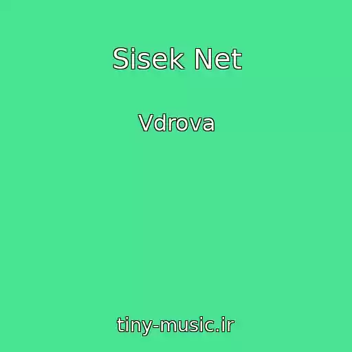 کاور آهنگ Sisek Net از Vdrova