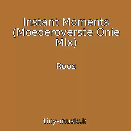 کاور آهنگ Instant Moments (Moederoverste Onie Mix) از Roos