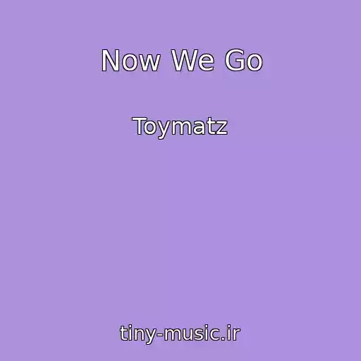 کاور آهنگ Now We Go از Toymatz