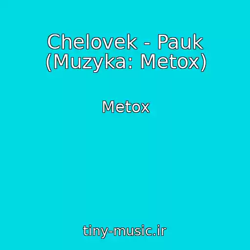 کاور آهنگ Chelovek - Pauk (Muzyka: Metox) از Metox