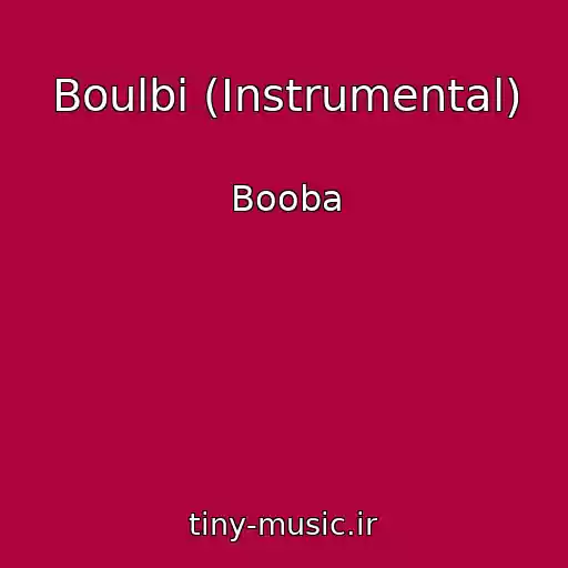 کاور آهنگ Boulbi (Instrumental) از Booba