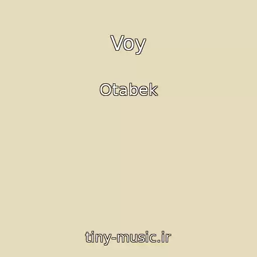 کاور آهنگ Voy از Otabek